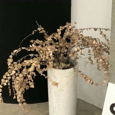 普兰FurryQQ群介绍